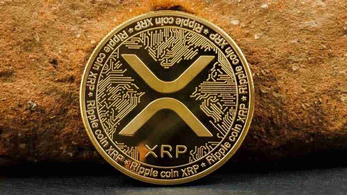 Why Did XRP Surge More Than 25% In The Past Week?