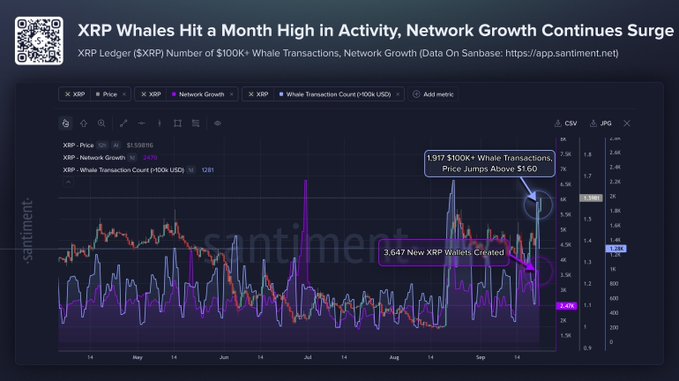 XRP Market Value 