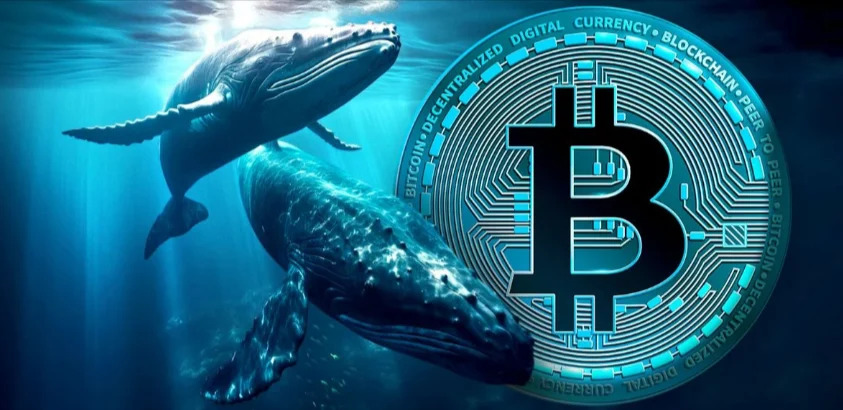 Bitcoin Whale