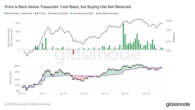 BTC Treasury Companies