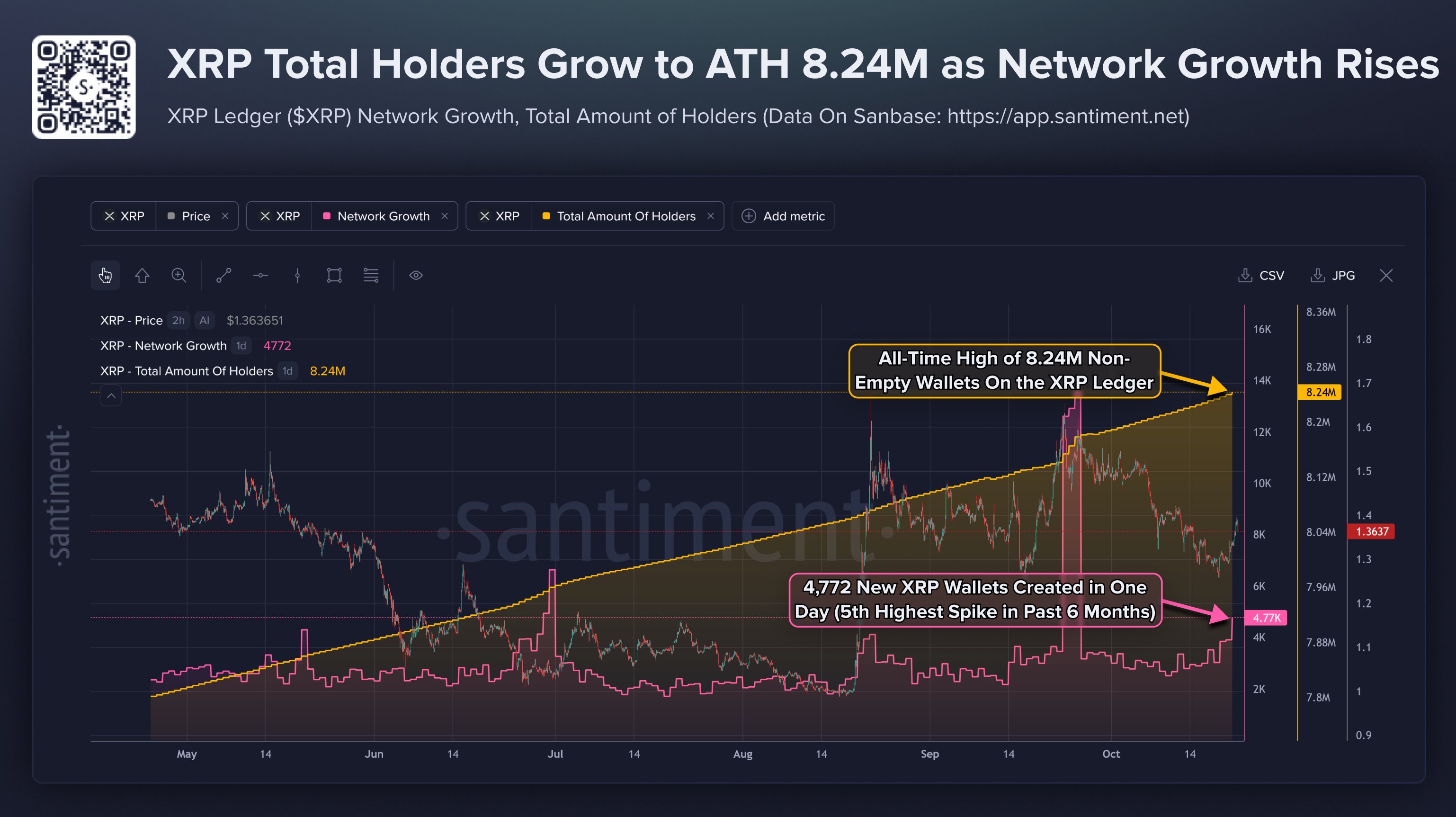 XRP Holder Counts