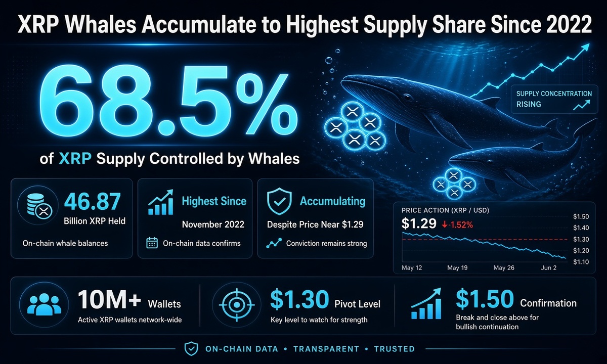 XRP Whales Accumulate to Highest Supply Share Since 2022 Despite Price Weakness