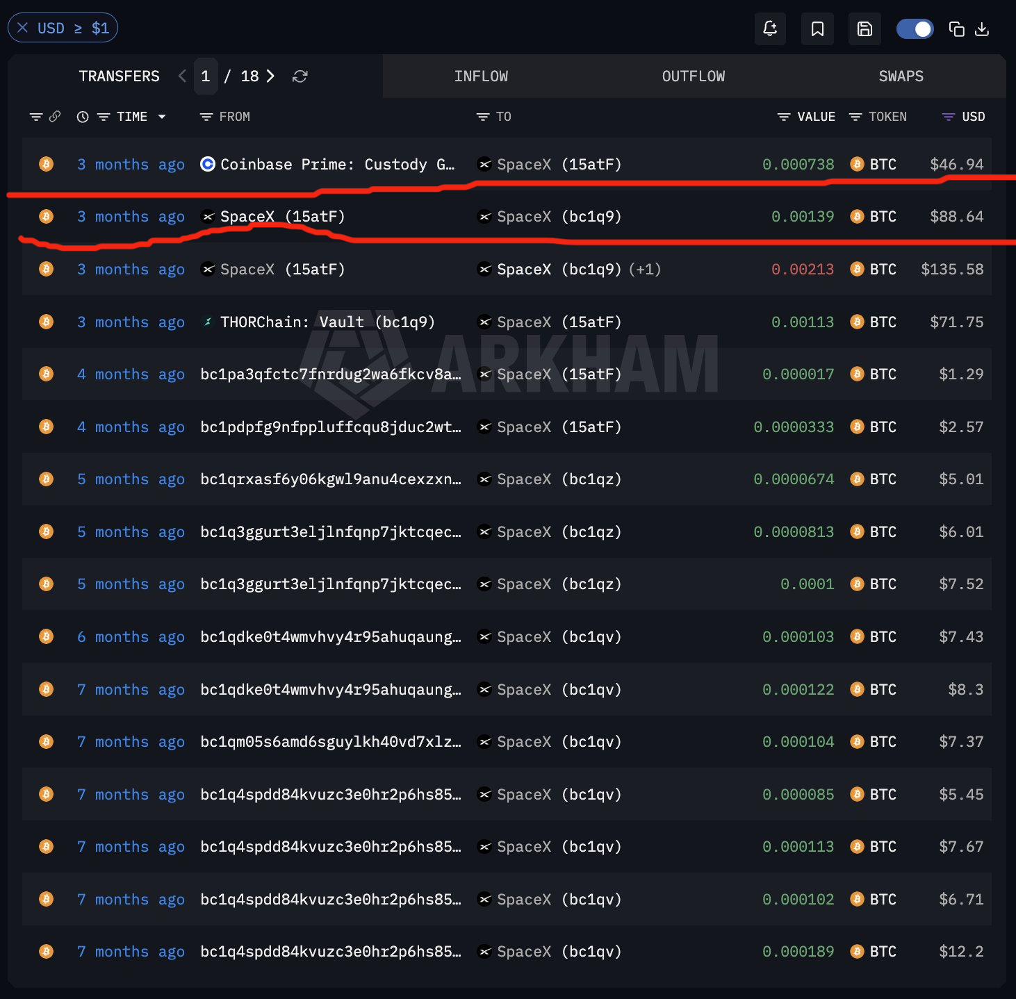 SpaceX Bitcoin Holdings
